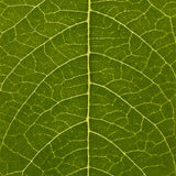 Hemp Hand Protector