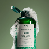 Tea Tree Skin Clearing Facial Wash 250ml