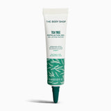Blemish Buster Kit
