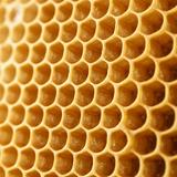 Beeswax
