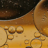 Black Castor Oil