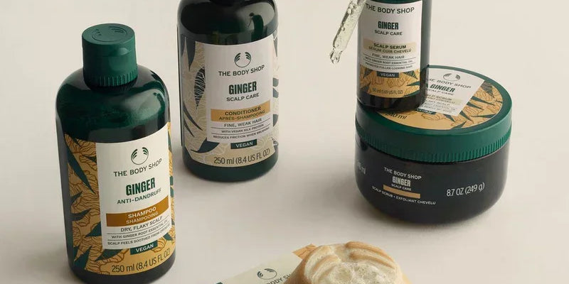 Our Best Shampoos & Conditioners For All Hair Needs