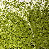 Born Lippy Matcha Latte Lip Balm