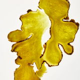 Ginger Scalp Care Conditioner 400ml