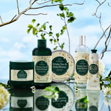 White Tea & Elderflower range set, front view, with lids and labels.