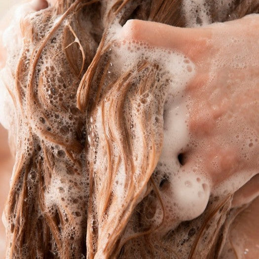 The Body Shop Moringa Shine & Protection Shampoo