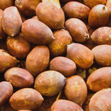 Community Fair Trade Babassu Oil