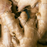 Ginger Essential Oil