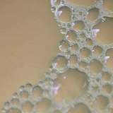 Salicylic Acid